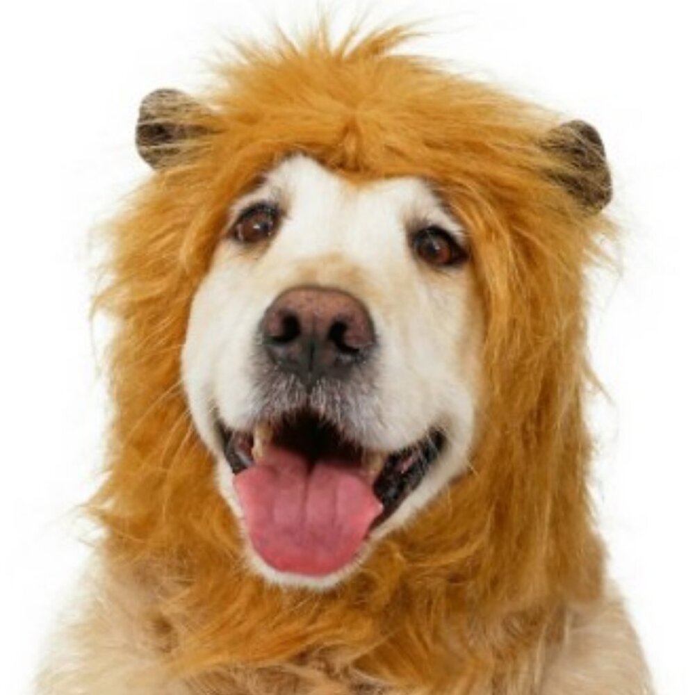 New Lion Mane Hat Dog Pet Halloween Costume Ears Size M/L Includes soft brown ea